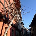 20110103_French_Alsace_061.JPG