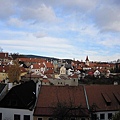 20101105_036.JPG