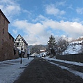 20110103_French_Alsace_022.JPG