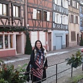 20110103_French_Alsace_085.JPG