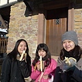 20110103_French_Alsace_056.JPG