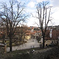 20101105_052.JPG