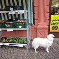 20110205_Germany Heiderberg_034.JPG