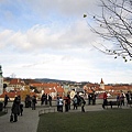 20101105_040.JPG