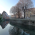 20110103_French_Alsace_091.JPG