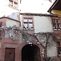 20110103_French_Alsace_024.JPG