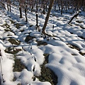 20110103_French_Alsace_011.JPG