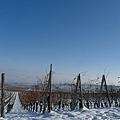 20110103_French_Alsace_047.JPG