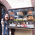 20110103_French_Alsace_039.JPG