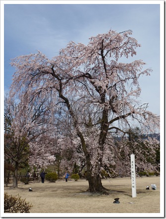 20100408~11名古屋 636