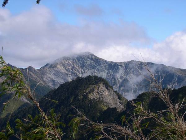 遠望向陽山