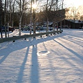 我喜歡陽光灑在樹上，在雪地留下影子的樣子