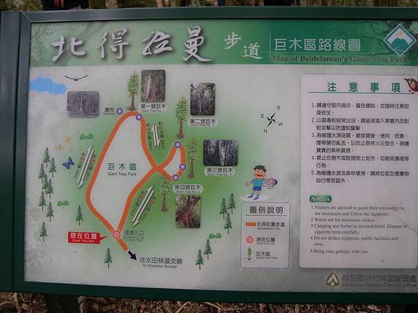 巨木區的路線圖
