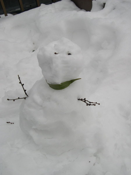 原來是在堆雪人啊