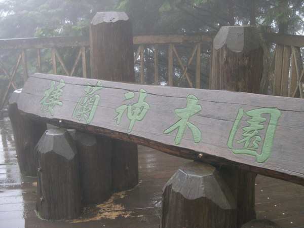 棲蘭神木園，以前稱為歷代神木區，所有神木都以相對年代的名人命名