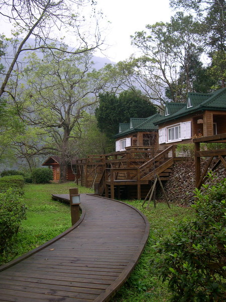 棲蘭山莊的林間小木屋，看起來也是很高級