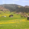 藍天，遠山，木屋，綠草地，小黃花