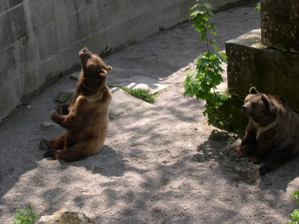熊公園，伯恩就是因為在此捕獲的第一隻獵物，熊，而命名