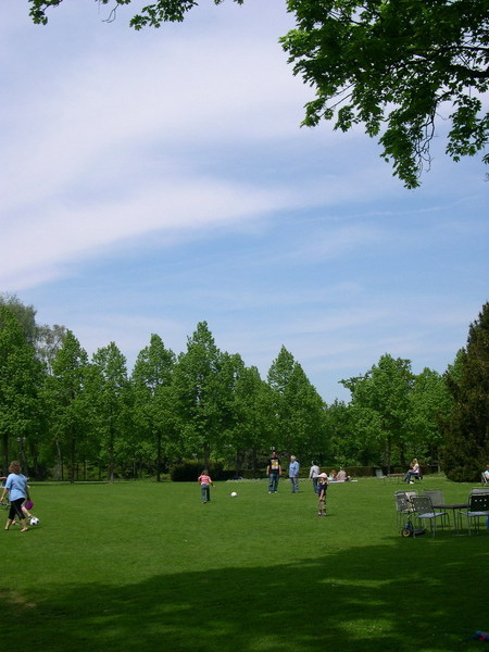 餐廳旁的小公園，草地很綠呢