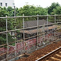 DSC00525.JPG