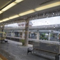 DSC00557.JPG