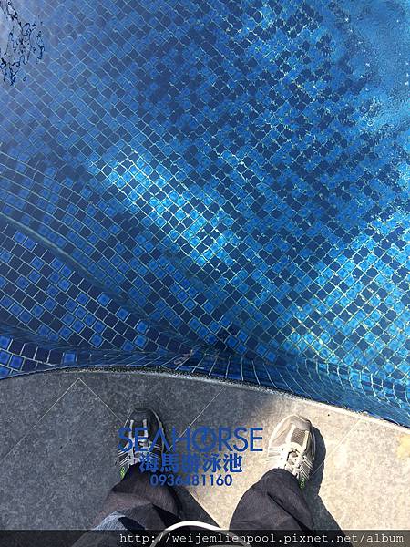 20161125-海馬游泳池-游泳池設備實測-次氯酸產生器運作狀態.jpg