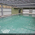20170501 海馬游泳池-泳池淨水系統設備說明-泳池設備.JPG