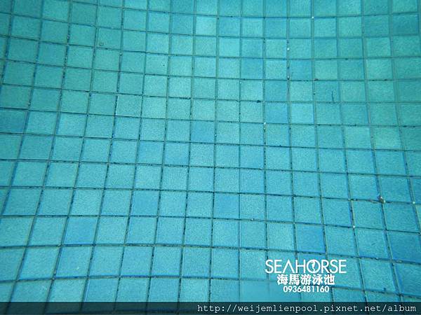 20170516 海馬游泳池-游泳池水質處理重點-泳池設備.JPG
