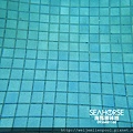 20170516 海馬游泳池-游泳池水質處理重點-泳池設備.JPG