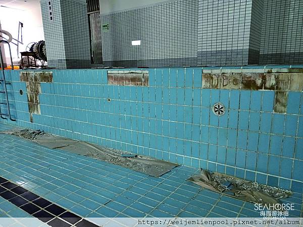 20190723 海馬游泳池-不鏽鋼游泳池設計-泳池工程施工設備設計維修-6.jpg