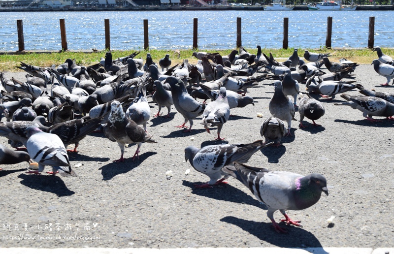 DSC_0373.JPG DSC_0373.JPG