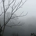 霧景