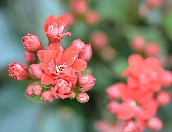 DSC_0273 DSC_0273