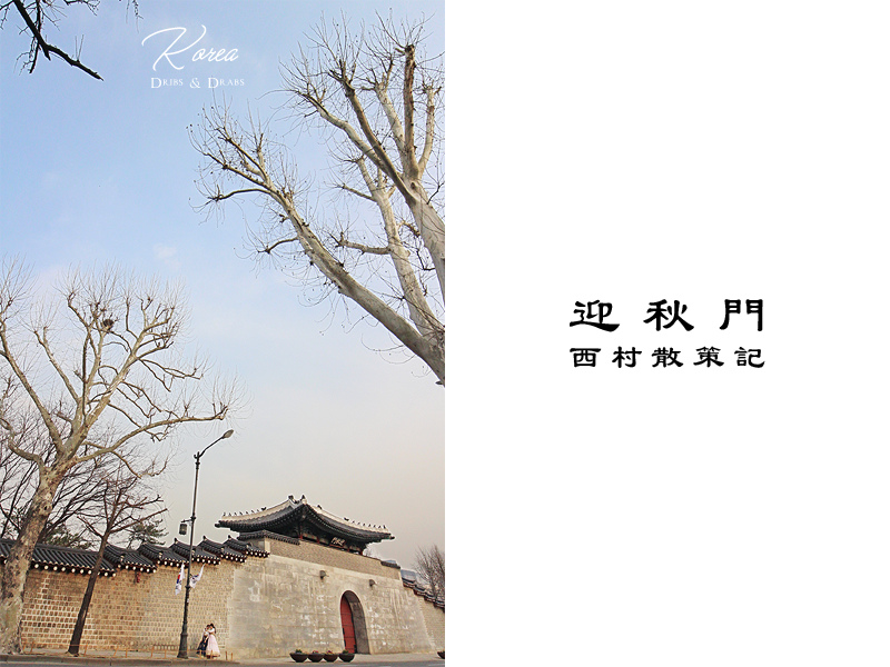 서촌에서 보내는 하루, 고요하지만 풍성한 경험을 담다. 산책과 발견의 즐거움을 만끽할 수 있는 공간.