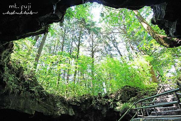 旅行 日本鳴沢冰穴 富岳風穴 富士五湖 西湖景點 Dribs Drabs 點點滴滴 痞客邦
