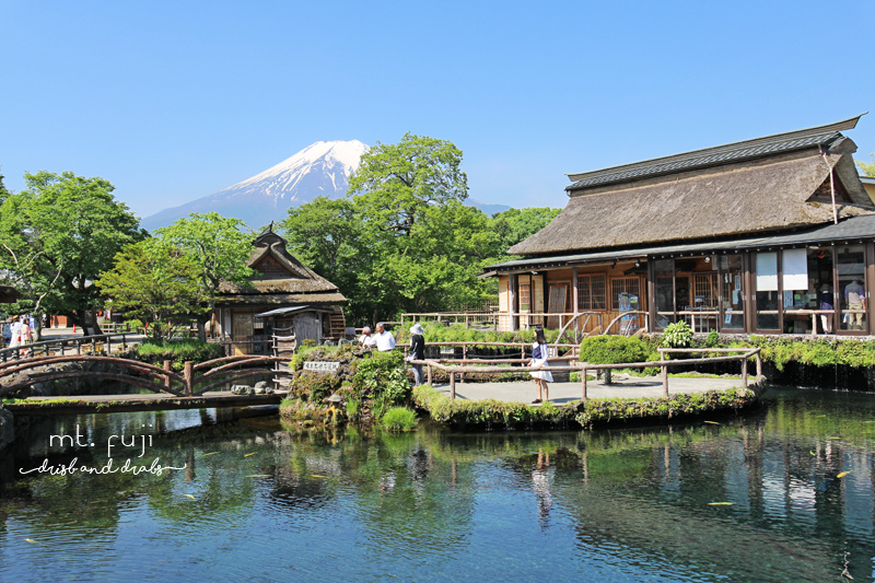旅行 日本忍野八海 河口湖景點 富士山下美麗的風景 Dribs Drabs 點點滴滴 痞客邦 旅行 日本忍野八海 河口湖景點 富士山下美麗的風景 Dribs Drabs 點點滴滴 痞客邦