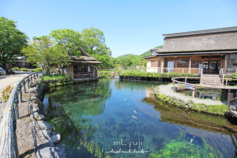 旅行 日本忍野八海 河口湖景點 富士山下美麗的風景 Dribs Drabs 點點滴滴 痞客邦 旅行 日本忍野八海 河口湖景點 富士山下美麗的風景 Dribs Drabs 點點滴滴 痞客邦