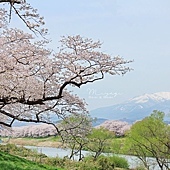 日本宮城繽紛春日的船岡城址公園 來此感受被櫻花包圍的幸福吧 櫻花名所百選 Dribs Drabs 點點滴滴 痞客邦 日本宮城繽紛春日的船岡城址公園 來此感受被櫻花包圍的幸福吧 櫻花名所百選 Dribs Drabs 點點滴滴 痞客邦