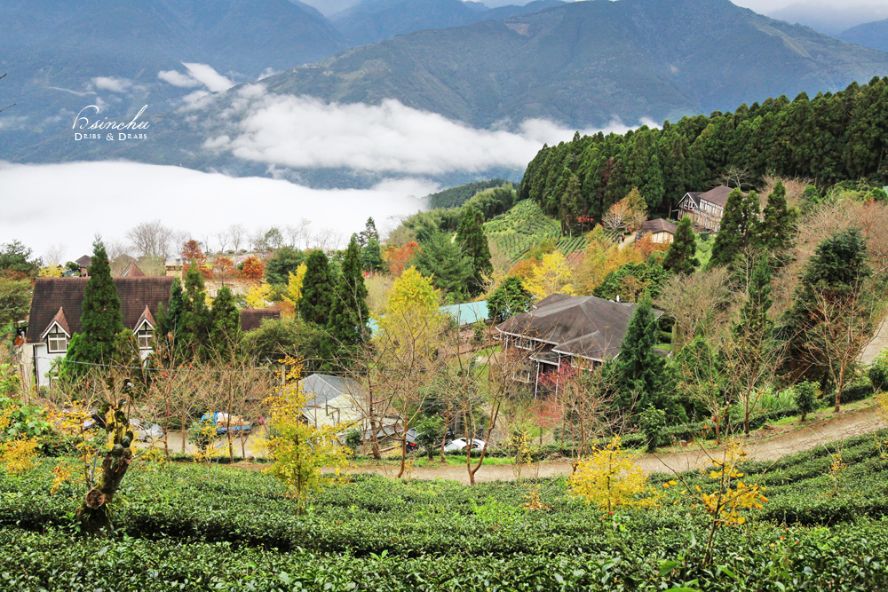 新竹五峰山上人家雲海 25.jpg