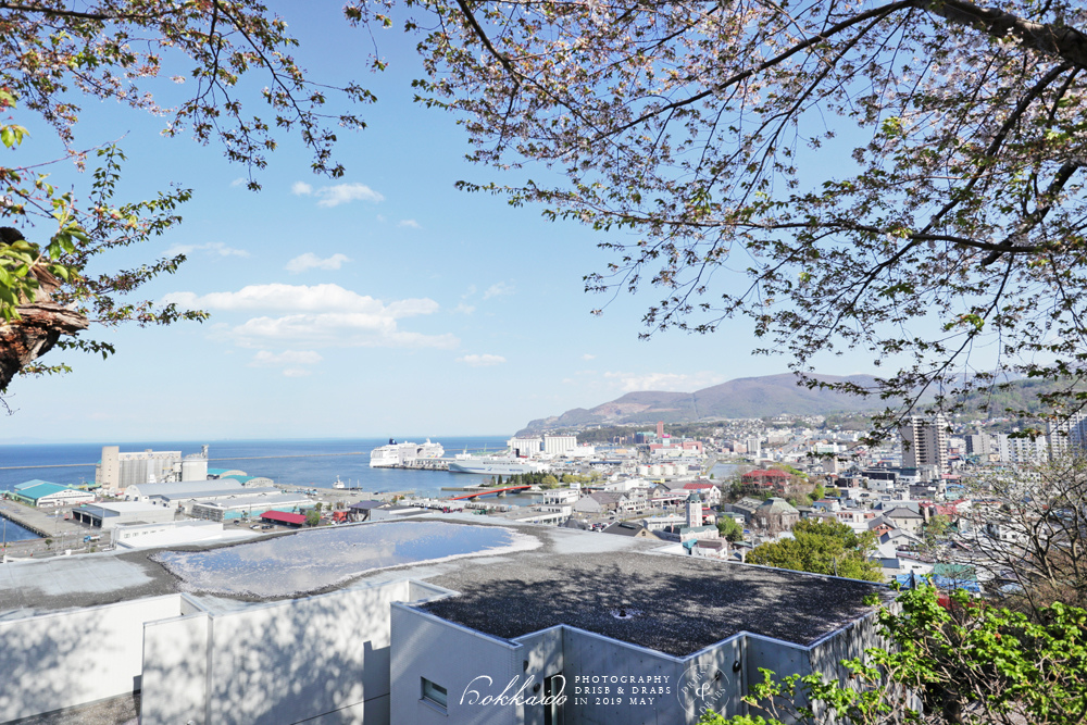 北海道小樽水天宮 北海道小樽水天宮