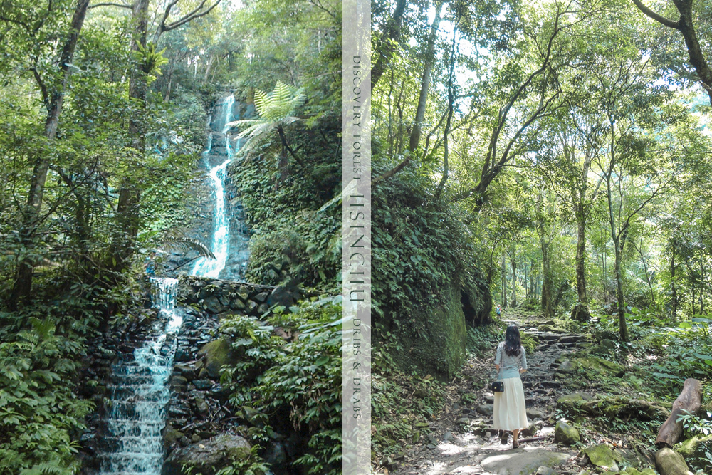 新竹關西馬武督探索森林 夢幻綠光小學 充滿芬多精的瀑布森林步道 Dribs Drabs 點點滴滴 痞客邦