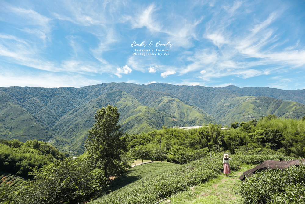 桃園復興拉拉山三光茶園 一望無際的解憂風景 超隱密的拉拉山秘境 Dribs Drabs 點點滴滴 痞客邦