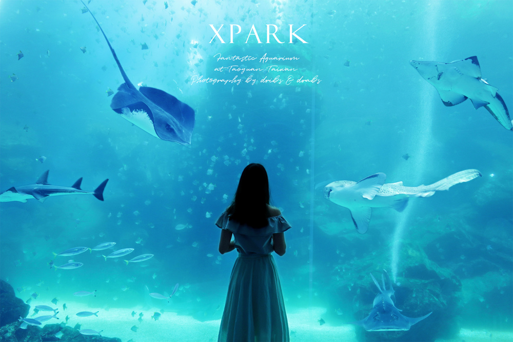 桃園XPARK水族館福爾摩沙01.jpg 桃園XPARK水族館01.jpg