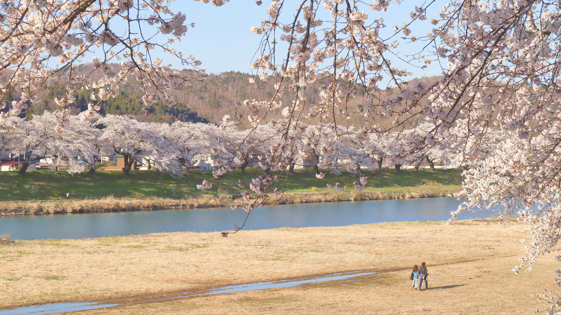 日本宮城縣