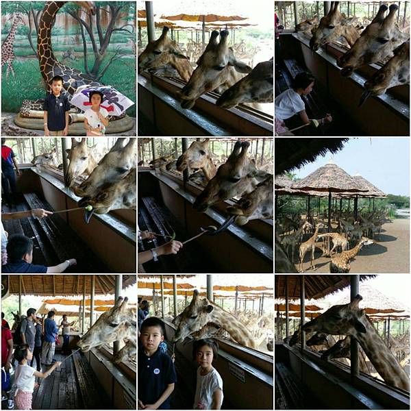 387899.LINE 387899.LINE