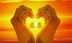 愛與感恩.jpg 愛與感恩.jpg