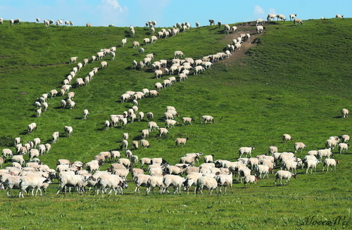 1347631616-2017232510.jpg 1347631616-2017232510.jpg