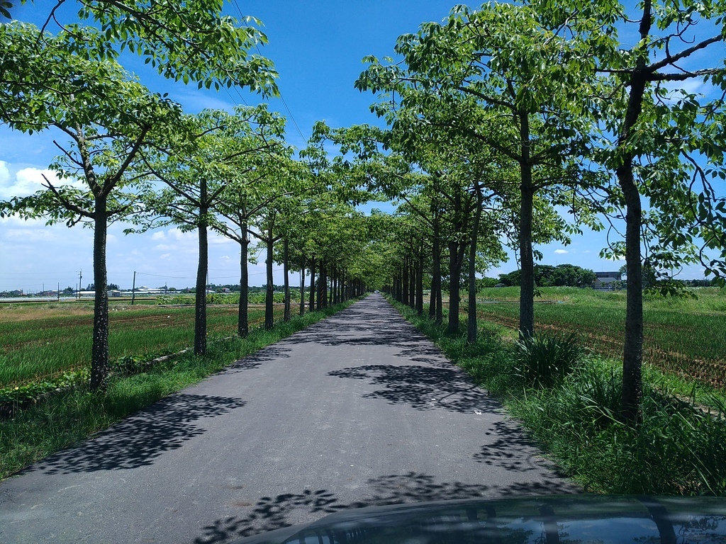 P_20170701_113521.jpg - 170701嘉義竹崎獨立山步道