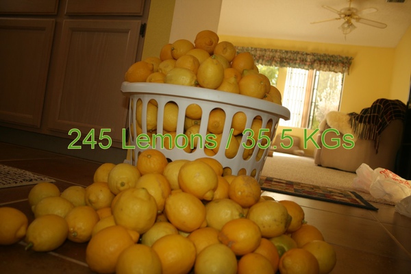 lemon_vinager_02.JPG