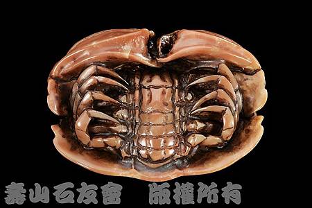 C0257k_壽山石_善伯_饅頭蟹(莊南鵬) C0257k_壽山石_善伯_饅頭蟹(莊南鵬)